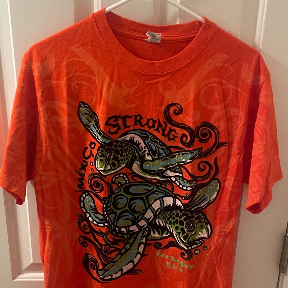 Very Vibrant Tortoises/Turtles Mens T-Shirt
